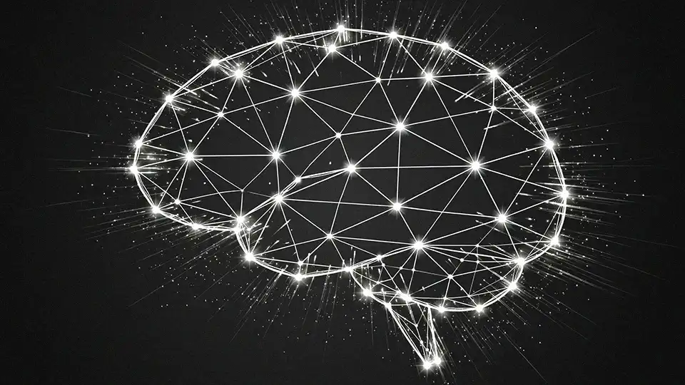 A human brain in a wireframe style, symbolizing research and analysis.